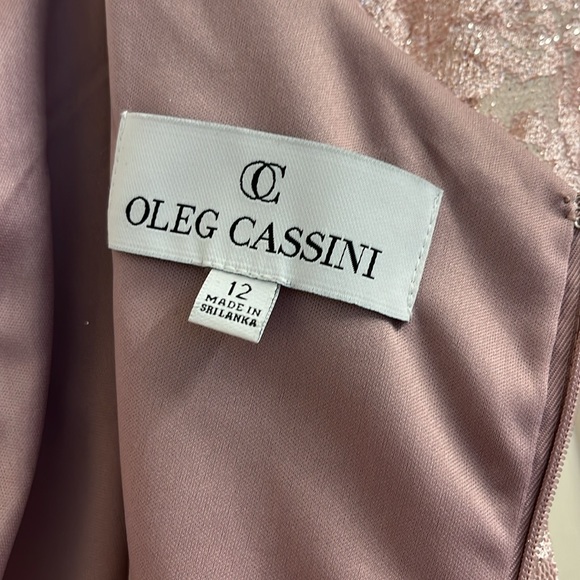 Size 12 Oleg Cassini, Mother of the bride dress! Rose colored, lace - Picture 7 of 9